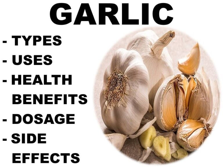 Garlic Uses, Health Benefits, Dosage, & Side Effects My Health By 