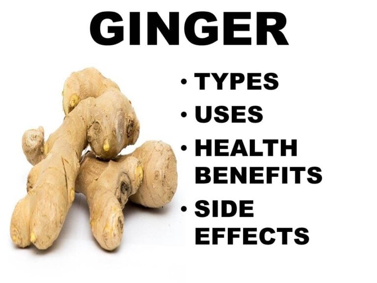 Ginger Types Uses Health Benefits And Side Effects My Health By Web