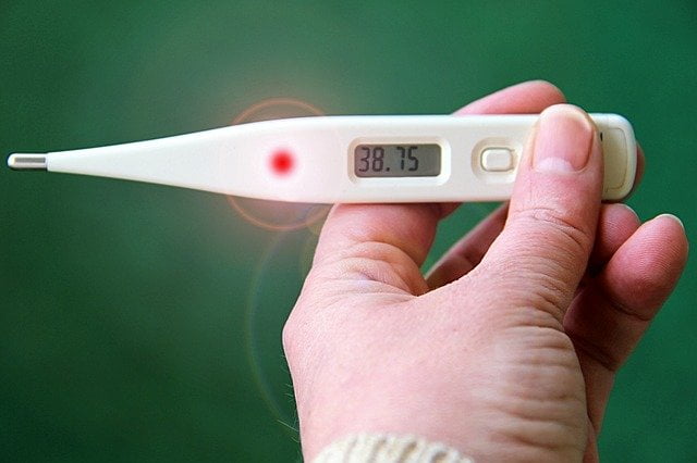 Causes of Typhoid fever