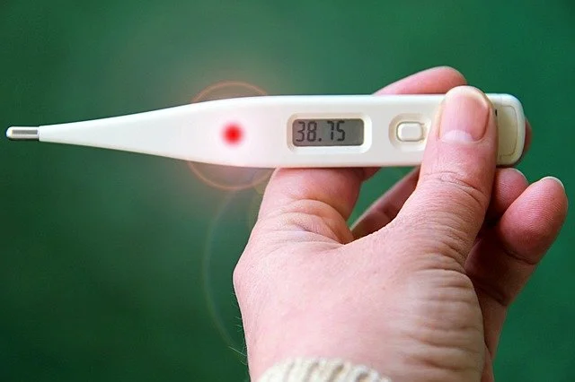 Causes of Typhoid fever