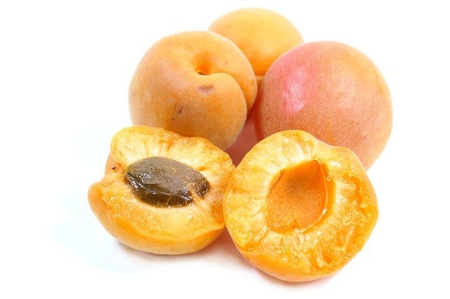 uses and benefits of apricot (khubani)