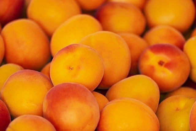 benefits of apricot or khubani