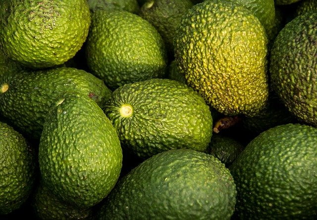 Uses and Health Benefits of Avocado Fruit