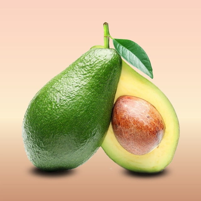 avocado fruit