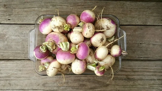 turnip shalgam benefits