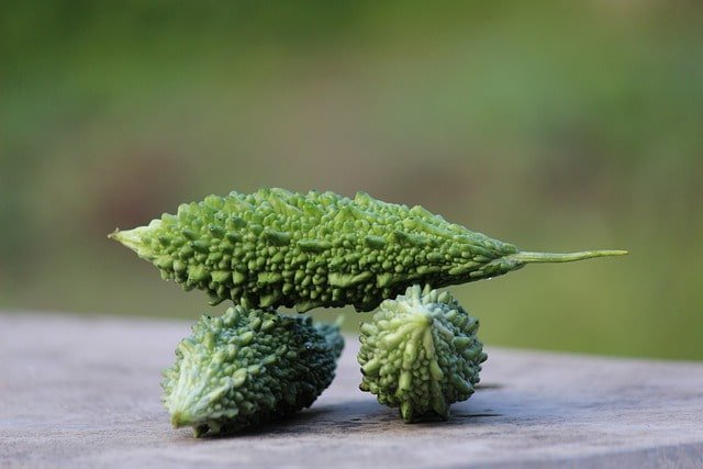 uses and health benefits of bitter melon or karela