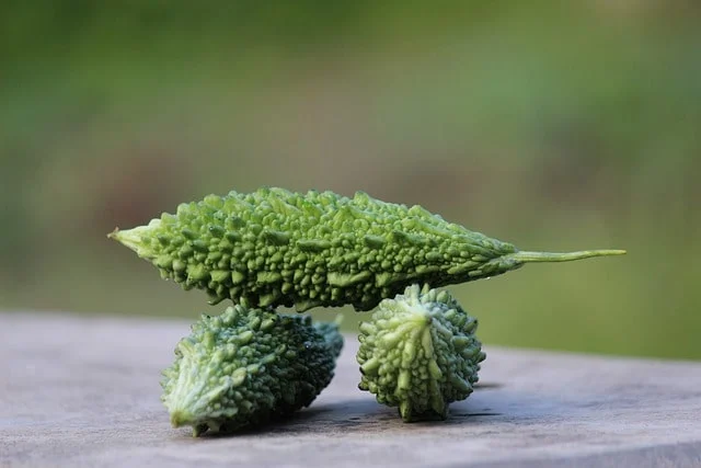 uses and health benefits of bitter melon or karela