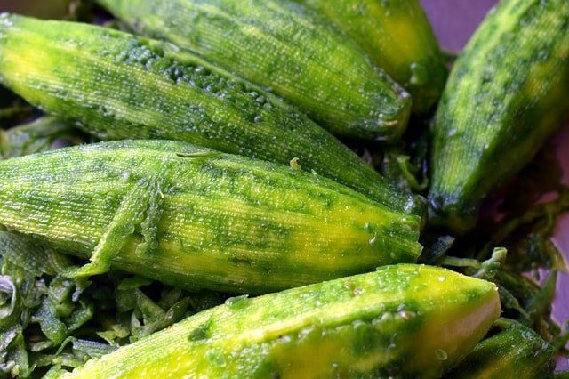 how to use bitter gourd or karela