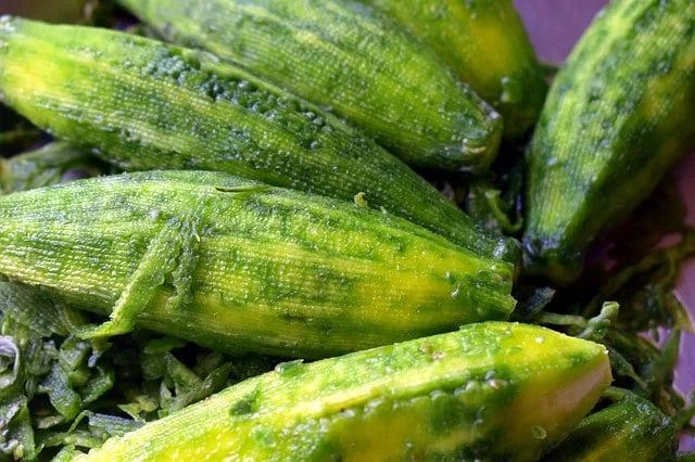 how to use bitter gourd or karela