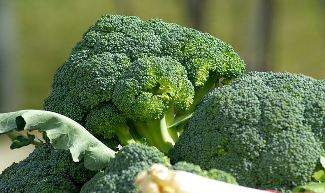 broccoli uses