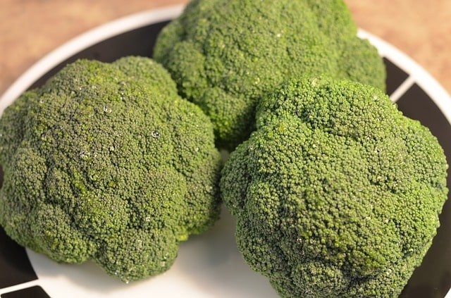 uses and health benefits of broccoli