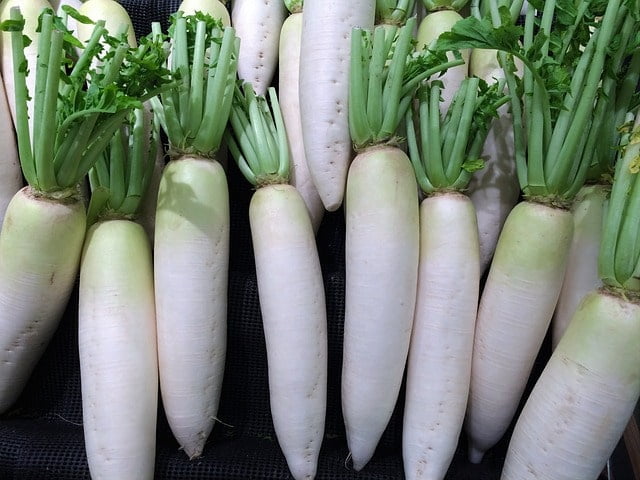 radish vegetable