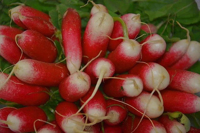 Mooli or muli benefits