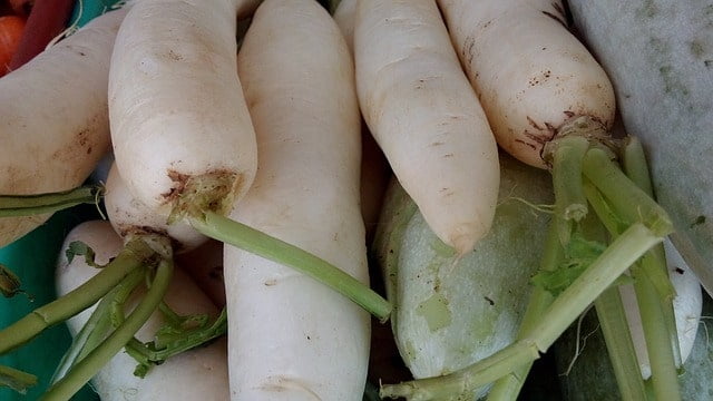 uses and benefits of mooli or muli